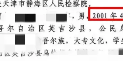 网红新疆大盘鸡，疑因盗窃被判了3年？！