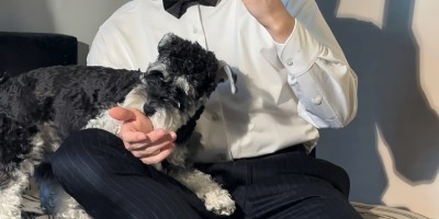 正装赛道的小哥哥，那些特写你喜欢吗?