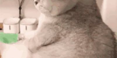 三线城市的gay生，真他妈艰难。