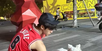 00后腹肌男大体育生，遇见富婆后的躺赢人生........