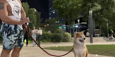 TXL的钱真好骗？抖音博主200元加微信3000元看视频 受害人放话周末堵健身房