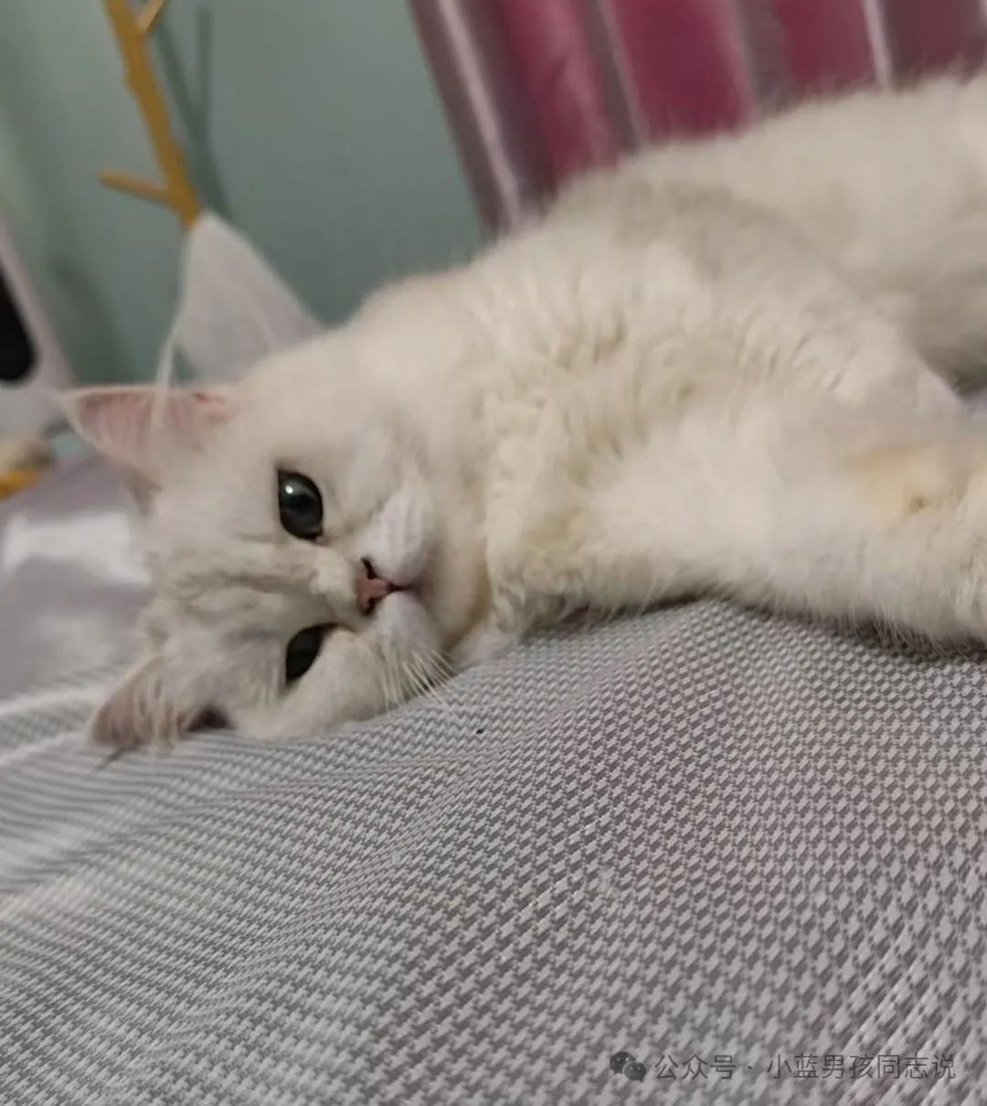 # 同志小说长篇连载故事《后来的救世主》第三章