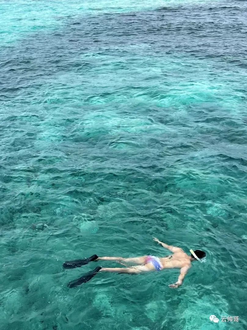 腹肌男模下海，彩虹大苞好顶