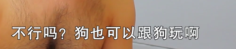 超大尺度的《犬 nu 养成记》，S 和 M 看完都沉默