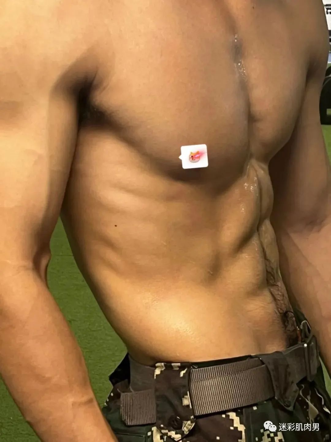 河北 185CM 迷彩教官腹毛自拍照？长的太好看了！