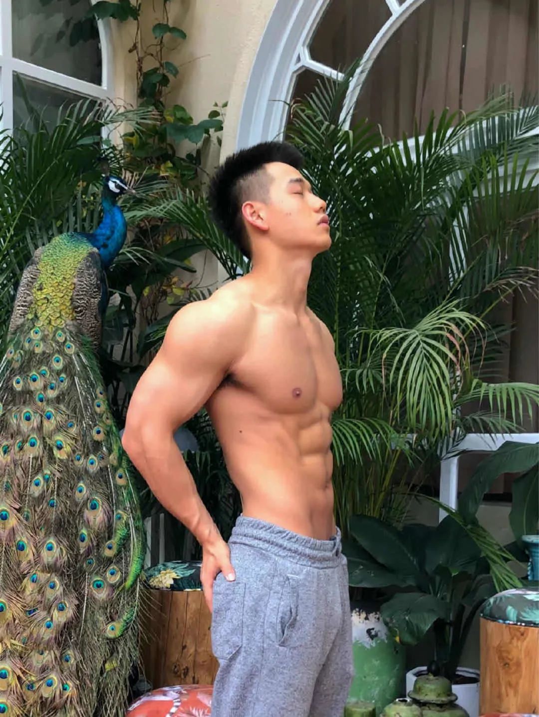 小哥穿运动裤在发光，身材让我爱了