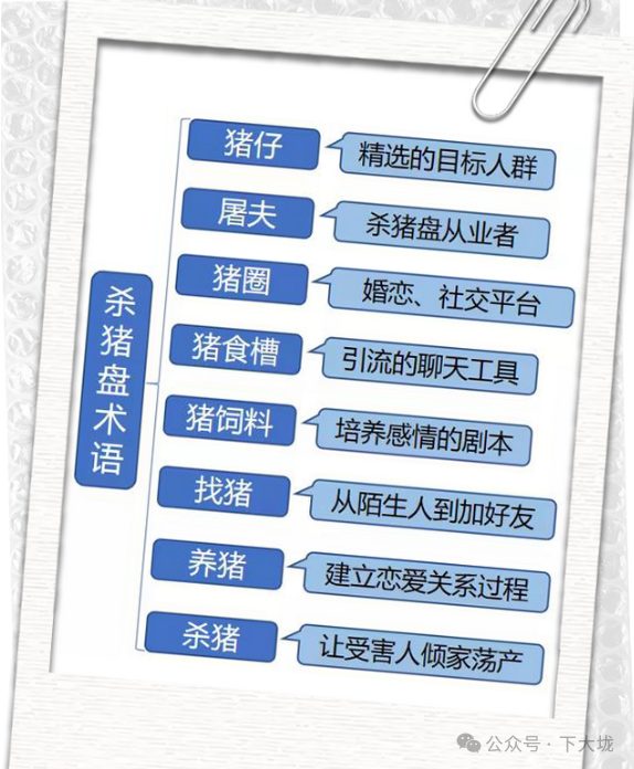 上小红书交男友？警惕杀猪盘团伙在等你中计
