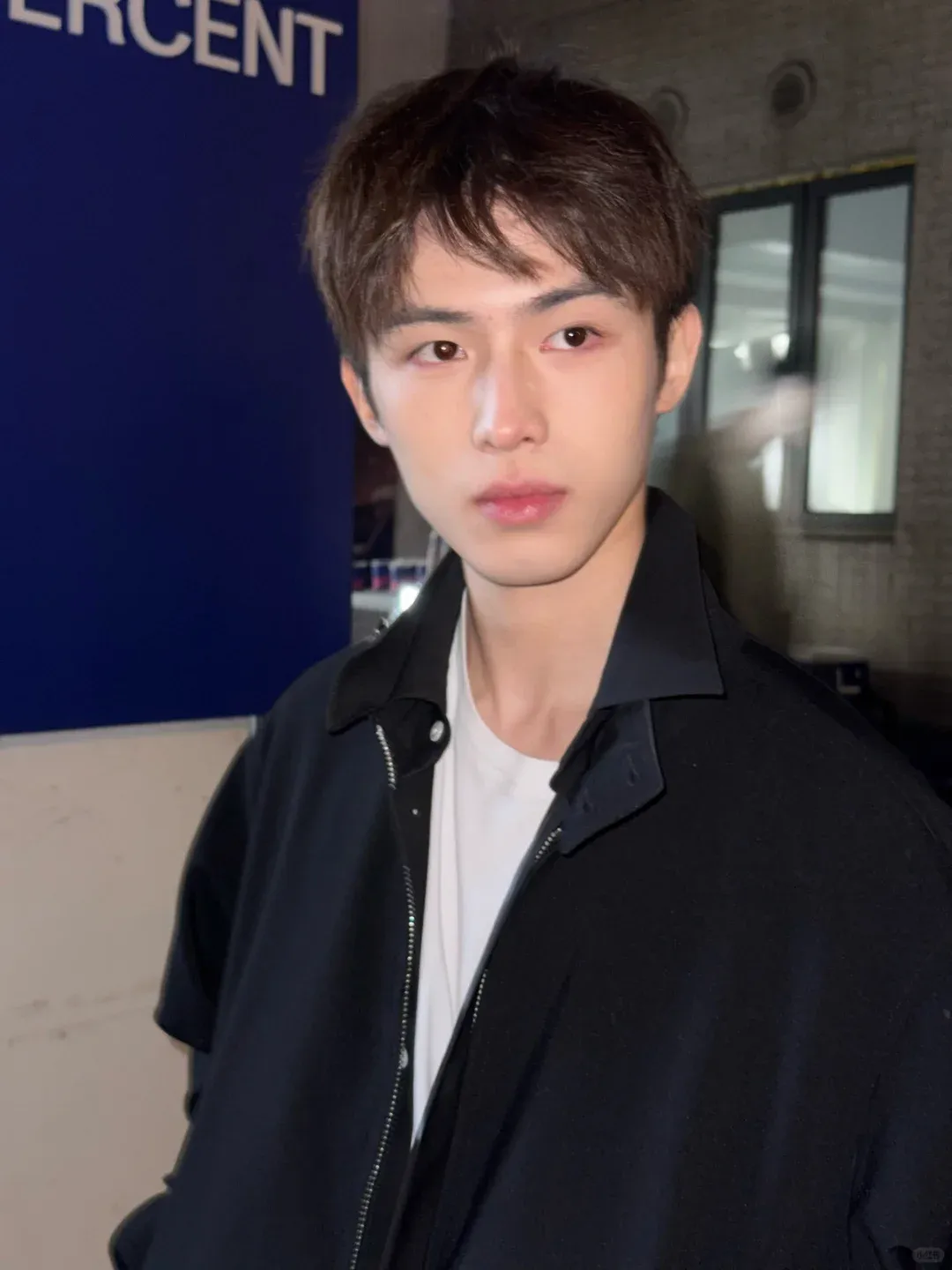 疯狂被盗图的颜值博主