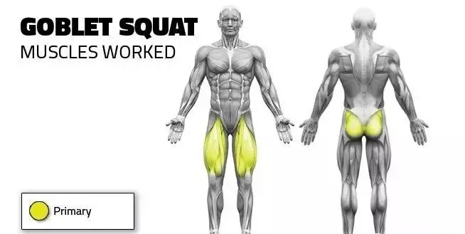 80% 的健身者都应该从这个动作开始,比深蹲效果更好! 80% 的健身者都应该从这个动作开始,比深蹲效果更好!