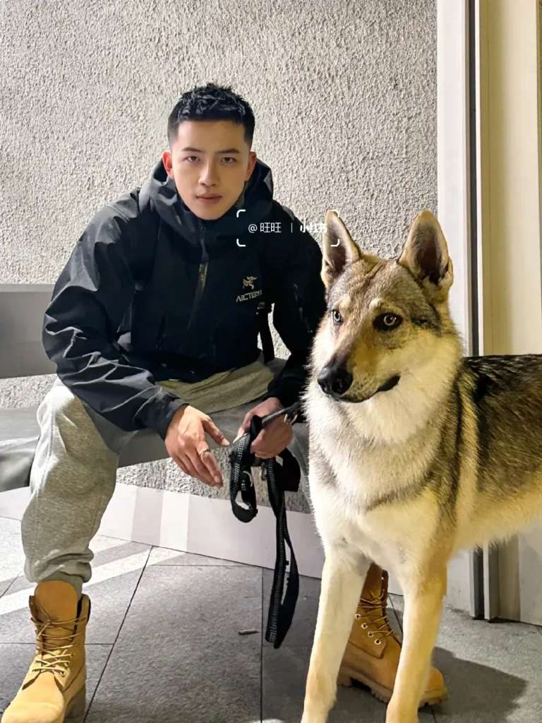 国标舞蹈老师，短发痞帅留子