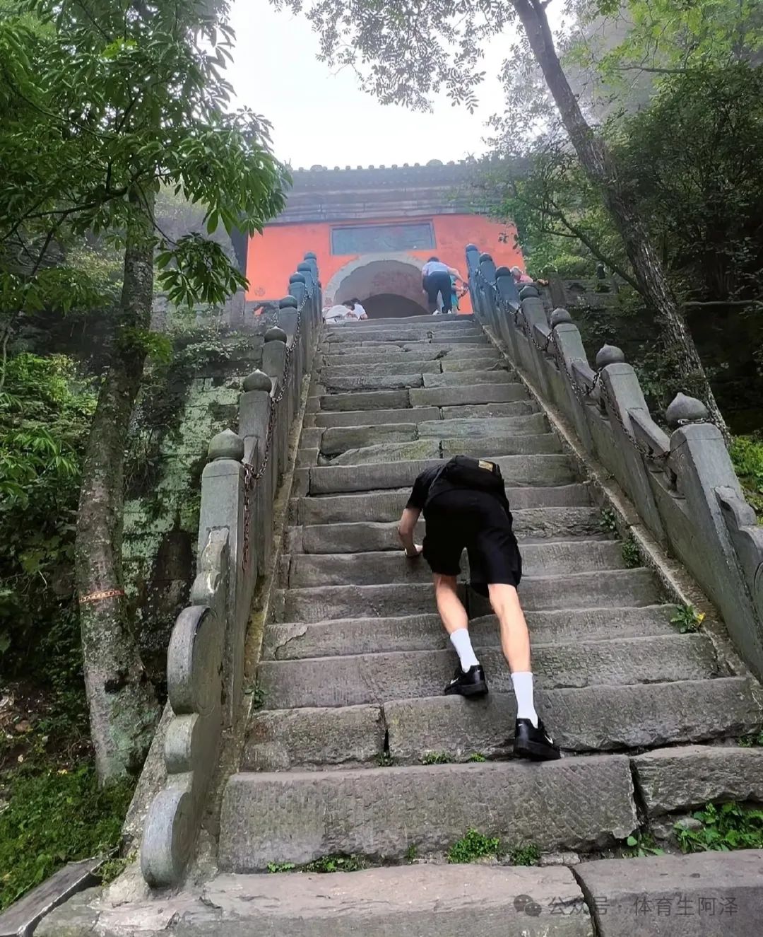 身高 2 米 03 粗腿大包，大树挂 " 茄子 " 的黑皮篮球体育生有多迷人......