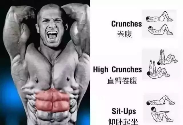 腹肌的不同位置该如何虐？6 张图解告诉你