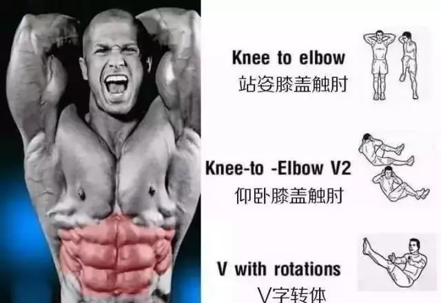 腹肌的不同位置该如何虐？6 张图解告诉你