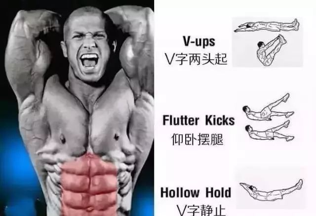 腹肌的不同位置该如何虐？6 张图解告诉你