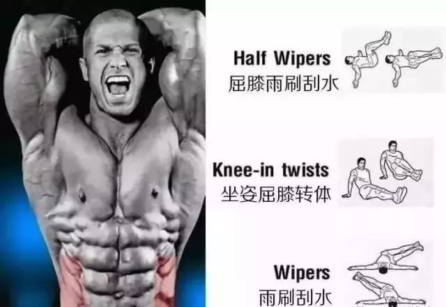 腹肌的不同位置该如何虐？6 张图解告诉你