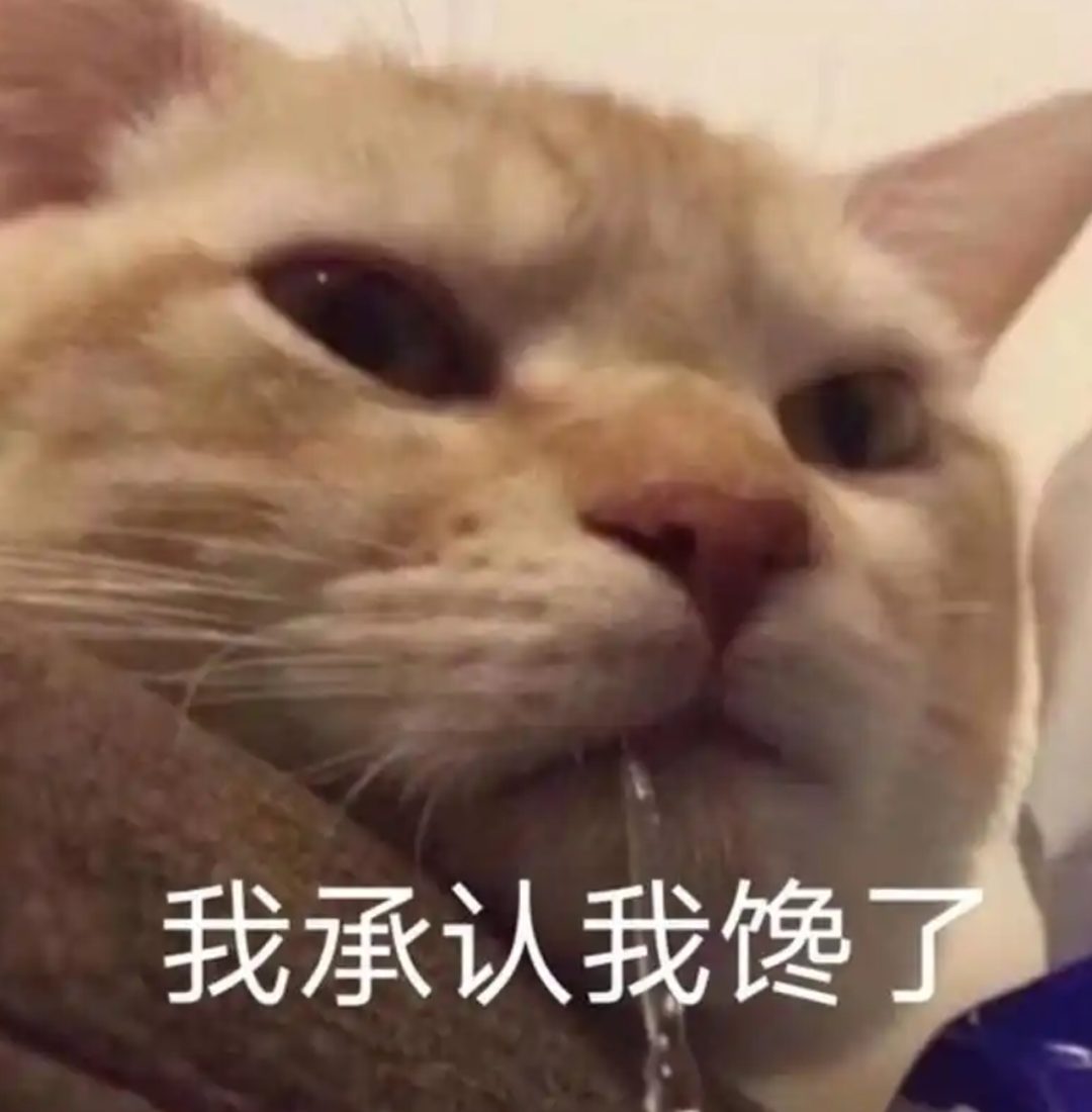 通讯录混入央视？汪顺体训现场被拍，这角度好刺激~
