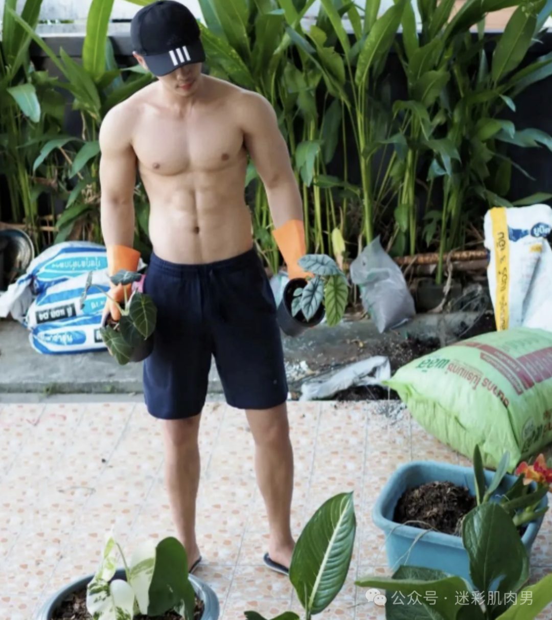 浇花把自己全身浇湿的壮男太会了！