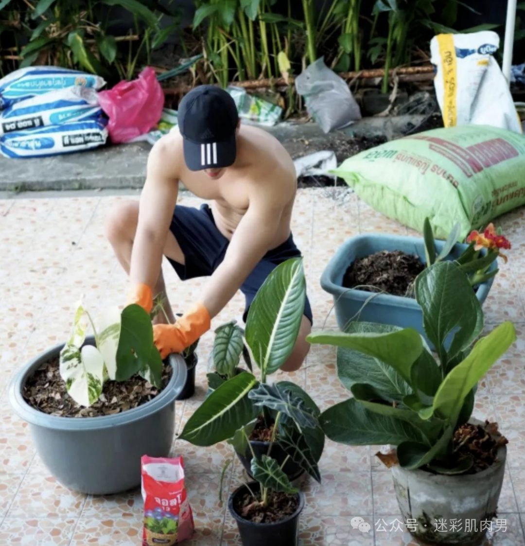 浇花把自己全身浇湿的壮男太会了！