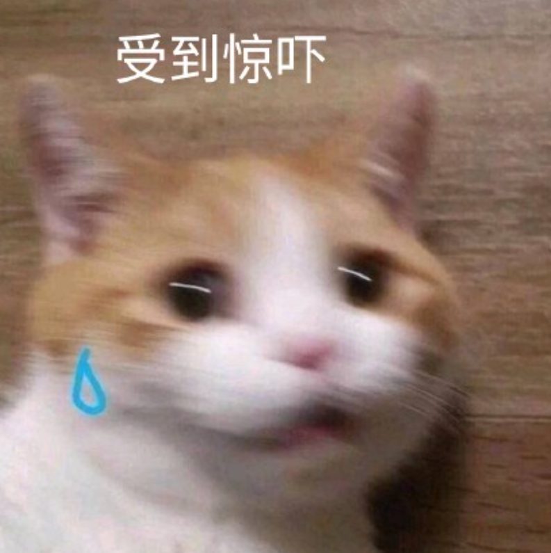 瓦特？？焦迈奇胖成球，“这是要变熊圈天菜了？”