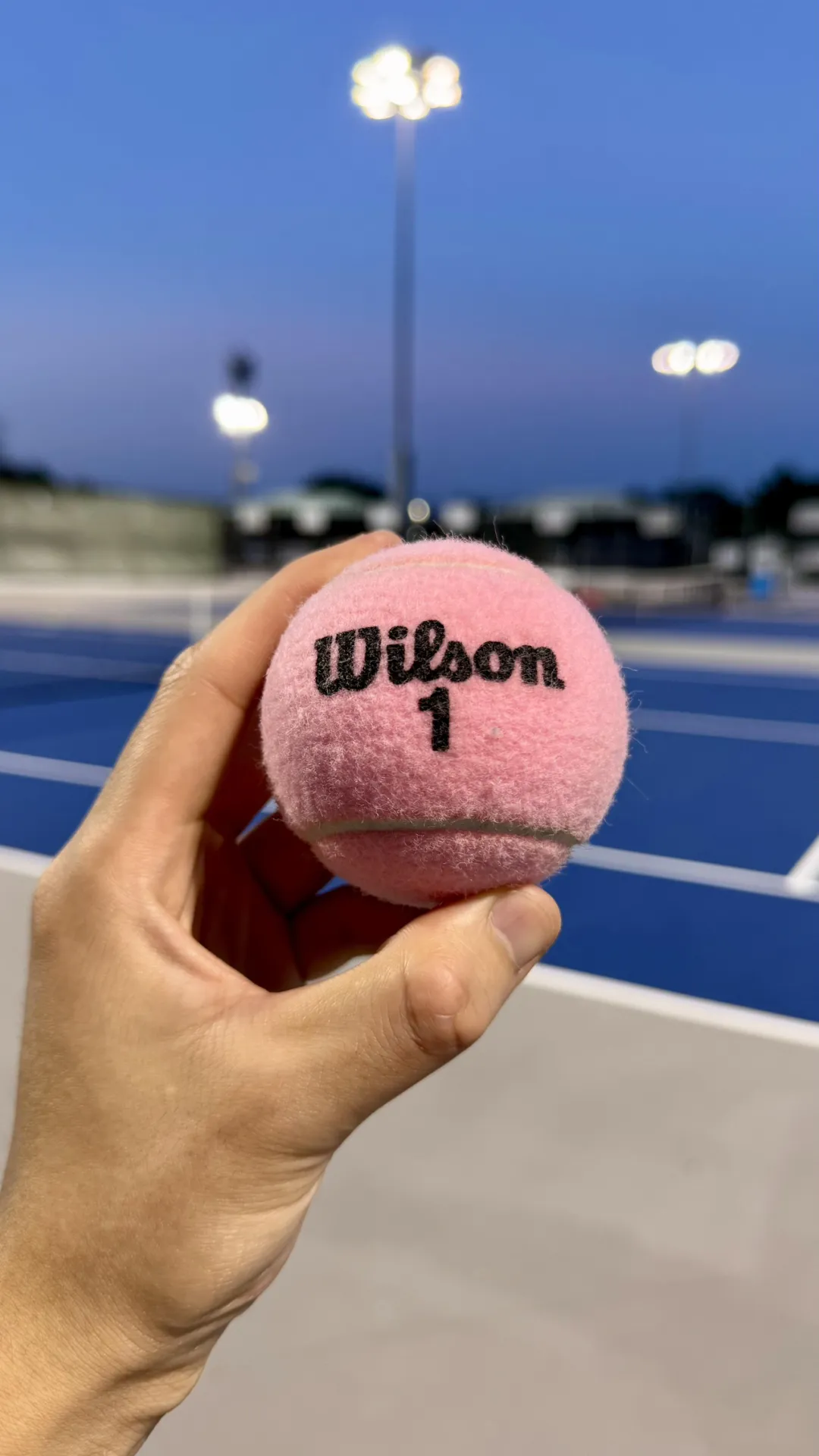 在美国工作的江苏运动博主，雪地大秀肌肉身材，网友直呼海外必吃榜