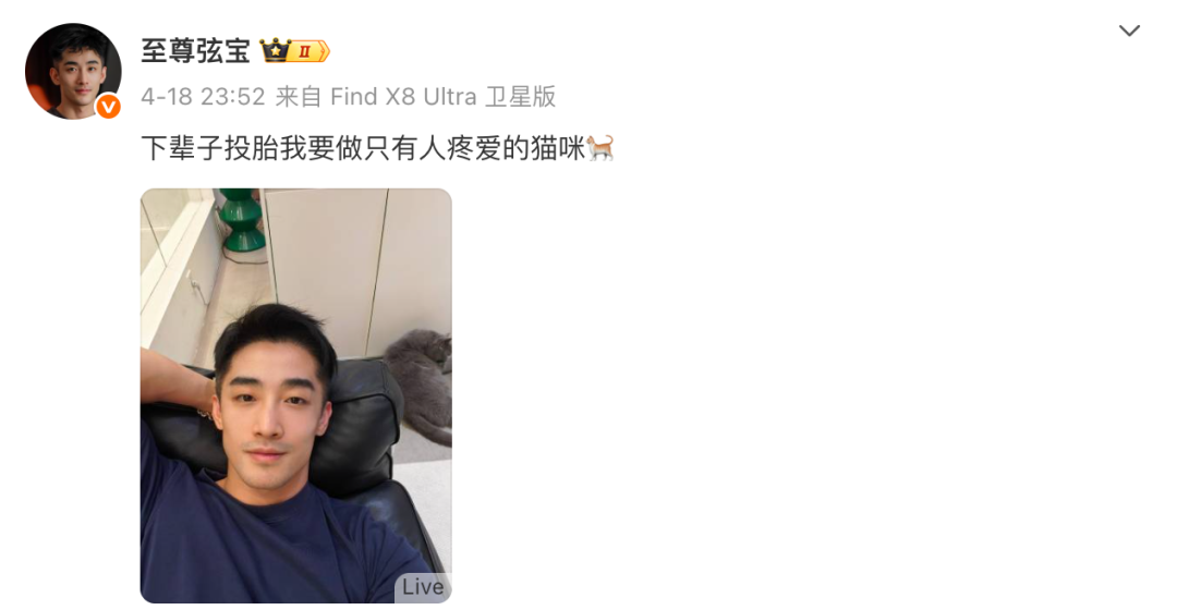 43 岁的上海一姐张弦，现在变成这样了...
