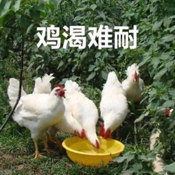 三线城市的 gay 生，真他妈艰难。