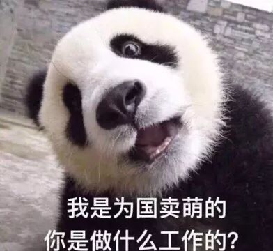 三线城市的 gay 生，真他妈艰难。