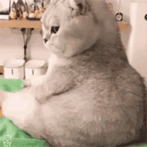 三线城市的 gay 生,真他妈艰难。 三线城市的 gay 生,真他妈艰难。