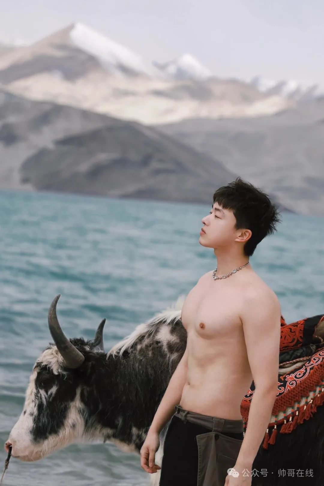 奶凶奶凶的小奶狼帅哥，谁不想要这样的大可爱？