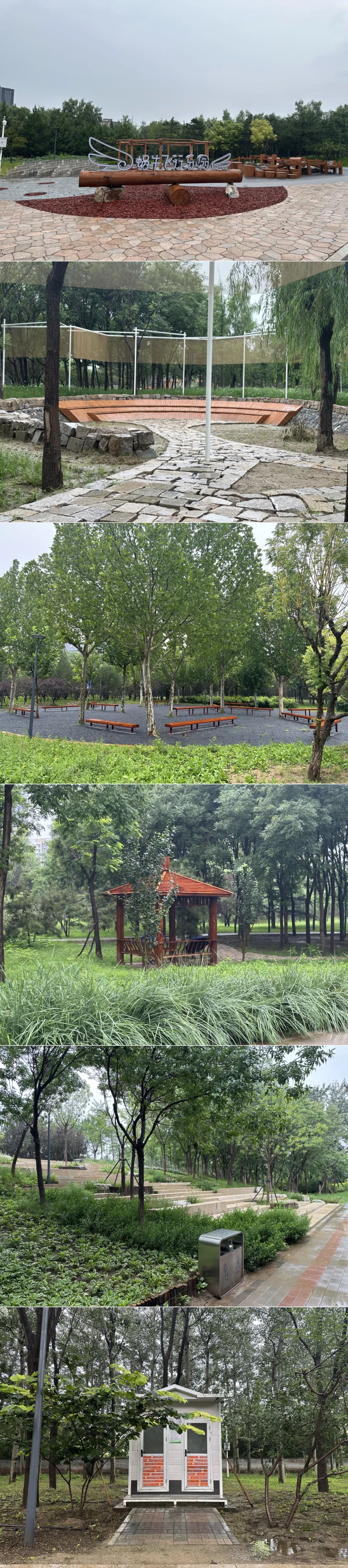 随笔|2025 年 8 月 8 日下午西会休闲园（Xihui Park）雨中漫游记