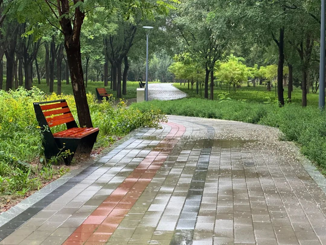 随笔|2025 年 8 月 8 日下午西会休闲园（Xihui Park）雨中漫游记