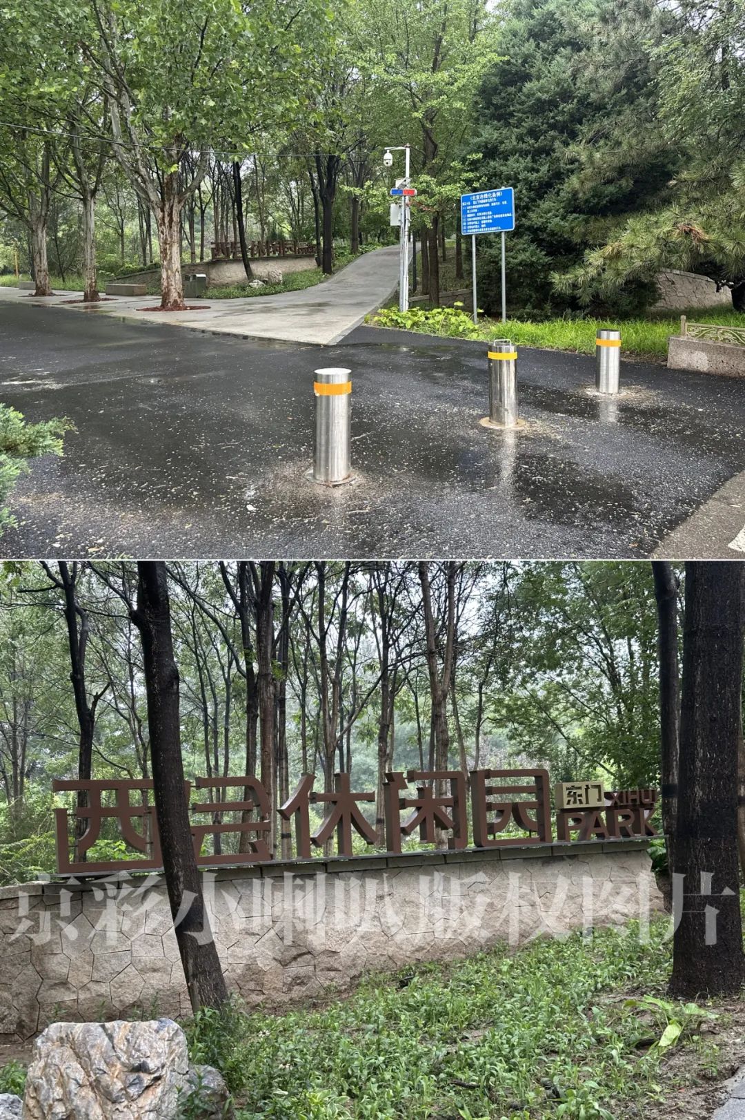 随笔|2025 年 8 月 8 日下午西会休闲园（Xihui Park）雨中漫游记