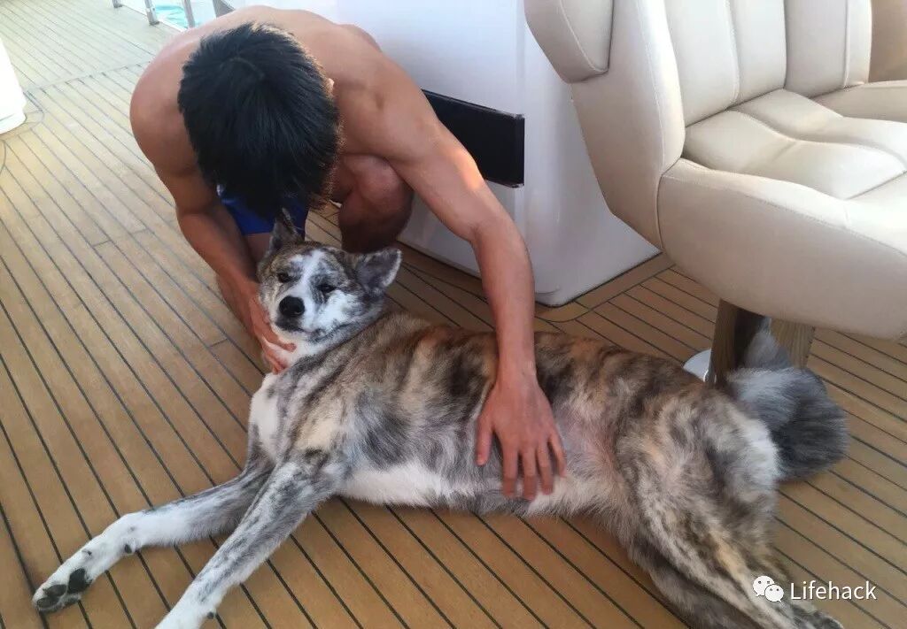 赵雅芝小儿子黄恺杰被爆：出道多年，不温不火，大晒八块腹肌公狗腰…网友神评：你要是早走这个赛道早火了！