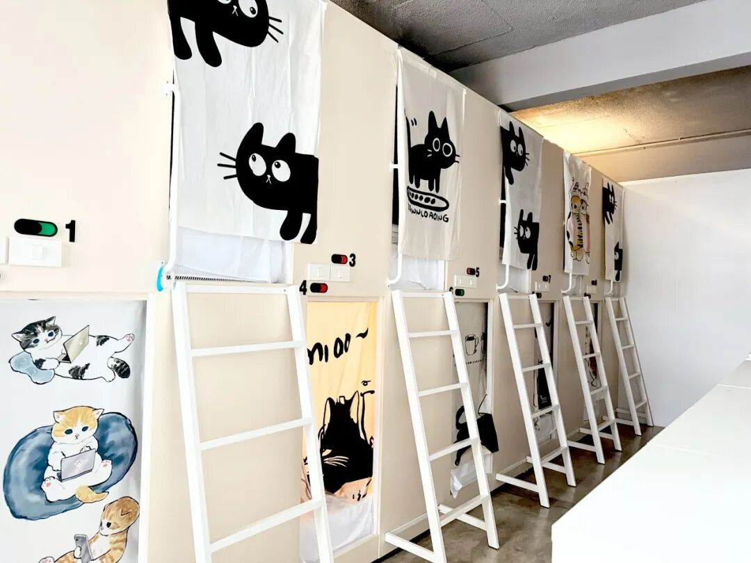 曼谷同乐青旅为何超级火爆?我们采访了背后的中国老板! 曼谷同乐青旅为何超级火爆?我们采访了背后的中国老板!