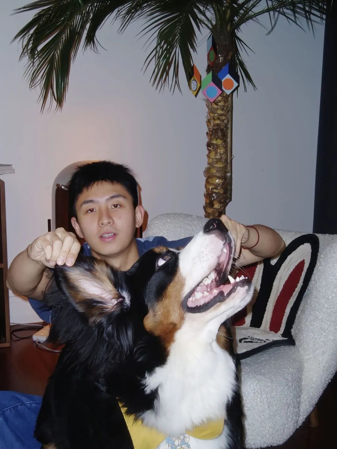 刷到焦迈奇吊威亚的照片！这位山东少年圈粉啦！