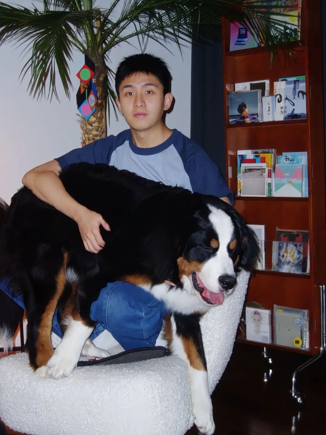 刷到焦迈奇吊威亚的照片！这位山东少年圈粉啦！